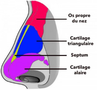 septorhinoplastie 